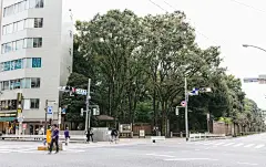 驹込(六义园前十字路口)的照片素材-图巨人