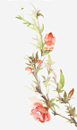 彩墨桃花高清素材 手绘 树叶 桃花 植物 水墨 粉色 绿叶 花卉 花朵 免抠png 设计图片 免费下载