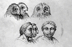 医学插画师动画师阿杜采集到角色设计-人物插画
