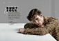 Body&Soul (ELLE Man) : -