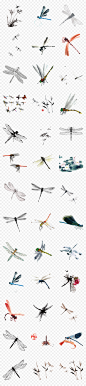 中国风水墨蜻蜓动物古典png透明素材