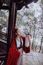 云中枝，山间酒