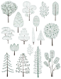 Architectural Drawing Patterns Illustration of pine trees collection Free Vector