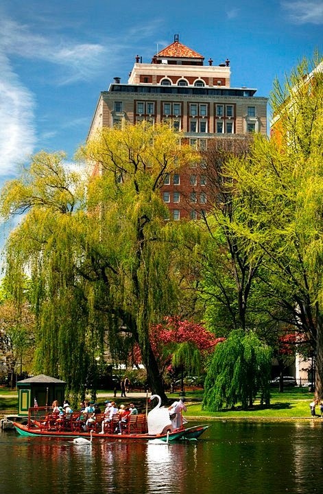 swan boats -Boston, ...