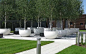 huge white planter pots and trees Wilson McWilliam — Hyde Park Hayes Piazza: