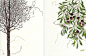 日本艺术家Miyuki Sakai利用缝纫机针创作的这些令人难以置信的插图。风格感觉像是铅笔画。在她的网站上，她的缝纫日记被分为厨房、起居室、办公室、化妆室、花园、街道、咖啡、餐桌等生活气息浓郁的类别。