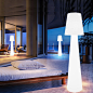 Rechargeable Landscape Lamp Floor Lamp Stand Lamp for Events Party pictures & photos