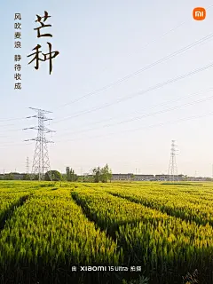 今日#芒种#，麦浪翻金，
蝉鸣催夏，又是一个静待收成的日子。
#高考#即将到来，祝所有考生：
种有所得，金榜题名！#小米15Ultra# ​​​