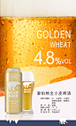 【豪铂熊豪铂熊小麦啤酒（京东专供）】德国进口 豪铂熊（BearBeer） 豪铂熊金小麦啤酒 500ml*24听整箱装【行情 报价 价格 评测】-京东