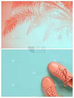 由两张珊瑚色照片做成的拼贴画。