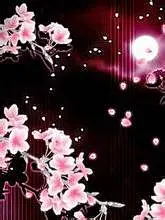 动漫樱花高清壁纸_百度图片搜索