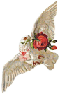 Pin page