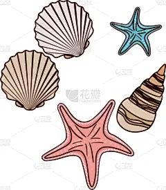 贝壳,海洋,可爱的,白色背景,螺线,海星,动物,海岸线,海螺,夏天