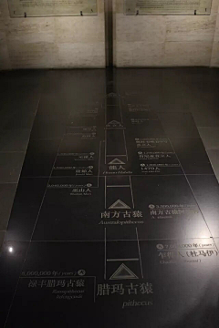 Big小野莓采集到湖北省博物馆