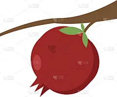 石榴,白色背景,食品,维生素,果汁,熟的,西瓜,樱桃,梨,树