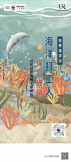 超级大新采集到国内品牌