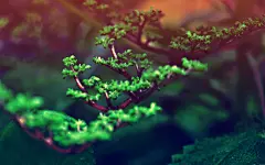 #电脑壁纸 #PC背景 #插画设计 #景色美图 #摄影风景 #美景图库 #4K超高清