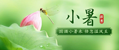 飞哥X采集到节气类