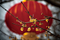 plum flowers and the Spring Festival by Haston Chen