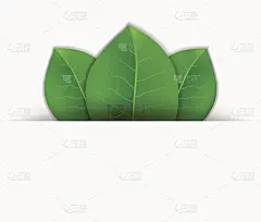 绿叶矢量背景