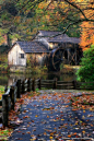 秋天，马布里轧机在弗吉尼亚州蓝岭公园。