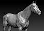 Thoroughbred, Dmitrii Prosov : continue to study horses.
wip
Thoroughbred horse