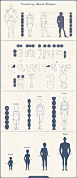 #绘画参考# 【初学者向】头身比例、女性人体结构和手的画法。(1-5 by Azot-2012, 6-7 by rofelrolf, 8 by jennatenshi)