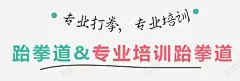 跆拳道专业高清素材 png 页面网页 平面电商 创意素材 png素材