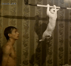 ArtistJ/太阳采集到搞笑GIF