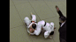 Kosen Judo Pulling Submissions ne waza Kosen Judo Judo (Interest) GIF