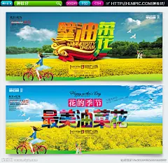 赏油菜花 油菜花海报 油菜花广告 油菜花展板 油菜花旅游 汉中油菜花 婺源油菜花 奉贤油菜花 荆门油菜花 瑞安油菜花 油菜花花海 潼南油菜花 高淳油菜花 罗平油菜花 门源油菜花 金色花海 寻梦油菜花乡 油菜花海 蜜蜂 陕西省油菜花 江西省油菜花 醉美油菜花 湖北省油菜花 浙江省油菜花 清明油菜花 