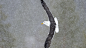 A seagull flying through snowfall in Finland.