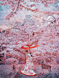 别人的旅拍
再想想我们的旅拍

摄影师：Kristina Makeeva#灵感的诞生# ​​​​