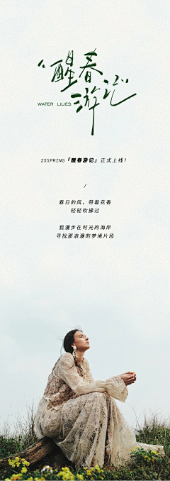 VsnLiang采集到中文海报灵感
