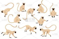 套可爱的长尾猴米色猴子与棕色脸卡通动物设计平面矢量插图孤立在白色的背景