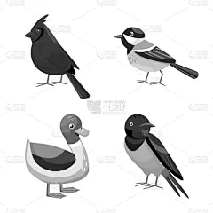 动物,野生植物,品牌名称,可爱的,夜莺,灰色,野生动物,莫诺湖,翅膀,小的