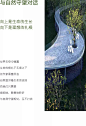 哈着白气的冬日森林 | 万科 招商 · 理想城 : 向上是生命的生长\x0a向下是理想的扎根