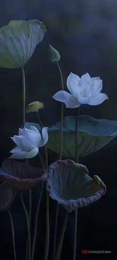 创美乐家居生活馆精选手机壁纸-锁屏壁纸-手机墙纸-手机屏幕背景-安卓壁纸-苹果壁纸-三星壁纸-小米壁纸-高清-摄影-美图