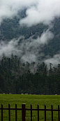 #摄影（风景-山水-建筑-绿色系-治愈）#