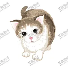 卡通猫咪 【酷图网】卡通猫咪,猫示矢量图,可爱猫咪,猫,猫咪,猫吃鱼,猫矢量图,手绘猫,卡通猫,水彩猫,猫简笔画,猫插画,猫线条画,猫卡通画,猫装饰画