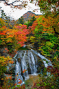 瀑布,日本,秋天,叶子,彩色图片,山形县,大群动物,九月,湿,清新