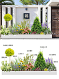 春意盎然，小径花舞的spring入户小花镜 - 小红书