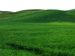 高清晰草地素材32911_田园风光_风景风光类_图库壁纸_联盟素材