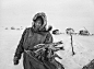 Credit: Sebastião Salgado/Amazonas/nbpictures The Nenets’ diet is based on reindeer meat and fish. Every three or four days, they kill a reindeer by strangling it. They then remove the entrails, drink the warm blood and eat the uncooked liver, kidneys and