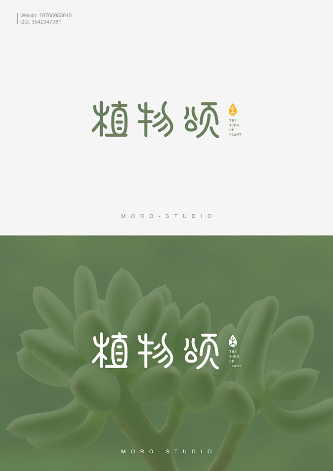 字体设计，花店logo