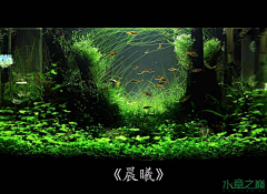 第五个Season采集到水草
