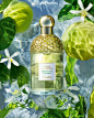 Photo by Guerlain on June 11, 2020