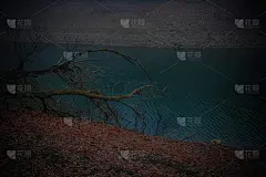 我去了我城镇附近的一个湖，看到了雾，所以我试着拍了一些有趣的照片