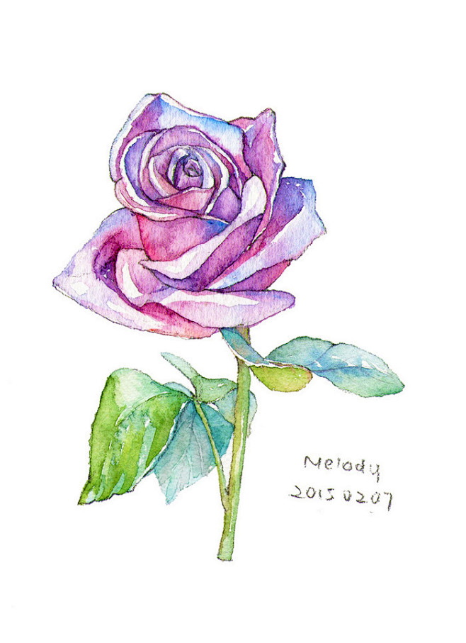 一周-夏小茶Melody_插画,水彩,植...