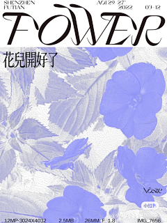 Villasa采集到创意海报